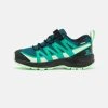 Salomon XA PRO V8 CSWP UNISEX - Chaussures de marche Kids 1 Salomon XA PRO V8 CSWP UNISEX - Chaussures de marche Kids -Salomon Soldes Magasin 16b96acb2a3a4ffaa28776c896ed83dc