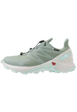 Salomon SUPERCROSS BLAST GTX - Chaussures de running Women -Salomon Soldes Magasin 4b82125431a74921bf0456d8150f0344