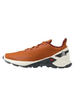 Salomon ALPHACROSS BLAST - Chaussures de running Men -Salomon Soldes Magasin 5ecf1d07b46f4d908e7b62a1fb63df46