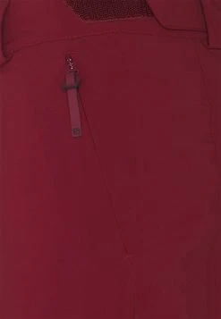 Salomon THE BRILLIANT PANT - Pantalon de ski Women 9 Salomon THE BRILLIANT PANT - Pantalon de ski Women -Salomon Soldes Magasin 6f4ae88daf634f3fadc6a368b1eced8c