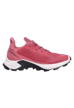 Salomon Chaussures à lacets Women -Salomon Soldes Magasin b8aef2fde6834f5280539b2bc091591e
