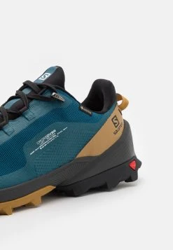Salomon CROSS OVER GTX - Chaussures de marche Men -Salomon Soldes Magasin cfcc9c323fc04ad7a38b6b1b1e87a619