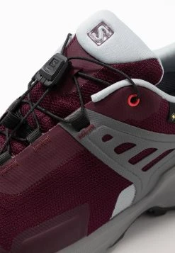 Salomon X RAISE GTX - Chaussures de marche Women -Salomon Soldes Magasin ef09badd251f4dbe87ddac12baf227c4