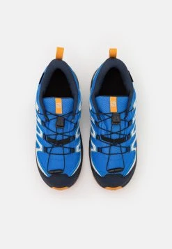 Salomon XA PRO V8 CSWP UNISEX - Chaussures de marche Kids 11 Salomon XA PRO V8 CSWP UNISEX - Chaussures de marche Kids -Salomon Soldes Magasin ff511f332f9b413cb0e6df41d6ccf0f6